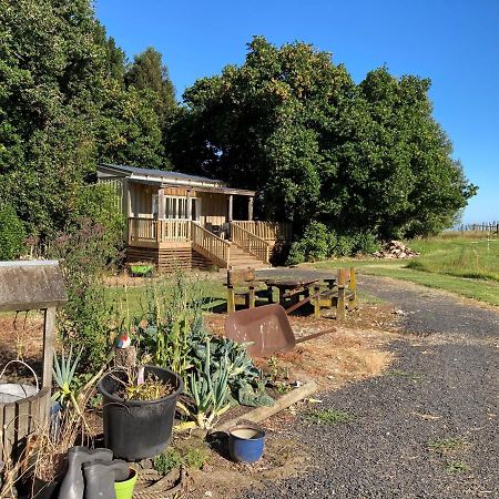 Villa The Treehut Ohauiti Exterior foto